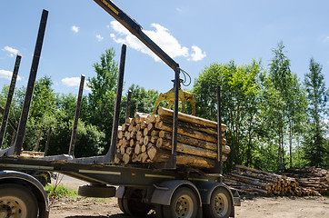 Image showing crane loading cut logs on trailer in summer time 