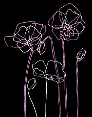 Image showing Pink  poppies on a black background