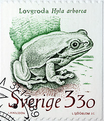 Image showing Frog Stamp