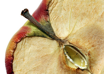 Image showing Dried Apple