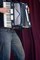 Image showing Accordion