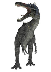 Image showing Suchomimus tenerensis