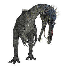 Image showing Suchomimus Tenerensis