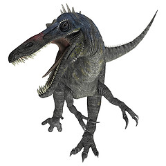 Image showing Suchomimus Tenerensis