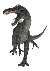 Image showing Suchomimus Tenerensis