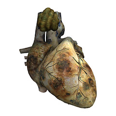 Image showing Human Heart