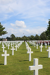 Image showing The American cemetery at Omaha Beach