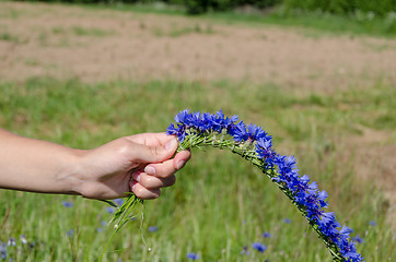 Image showing woman hands make cornflower crown wreath 