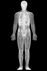 Image showing X-ray view of full human body isolated on black 