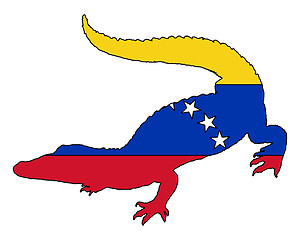 Image showing Crocodile Venezuela