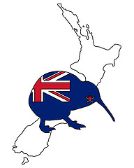 Image showing Kiwi of New Zealand