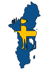 Image showing Swedish moose