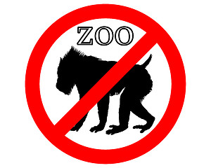 Image showing Mandrill in zoo prohibited