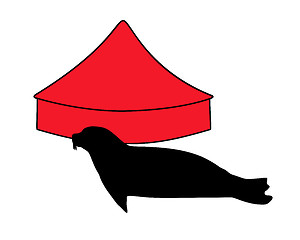 Image showing Seal in circus 