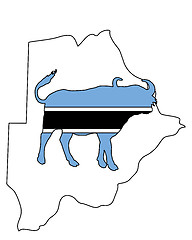 Image showing Botswana buffalo 