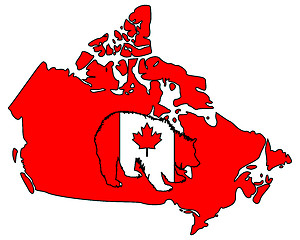 Image showing Canadian grizzly