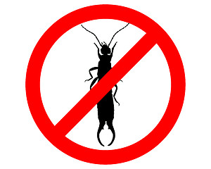 Image showing Earwig prohibited