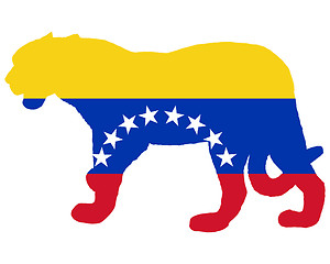 Image showing Jaguar Venezuela