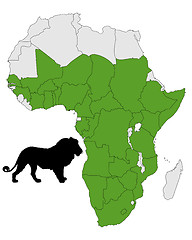 Image showing Distribution map lion