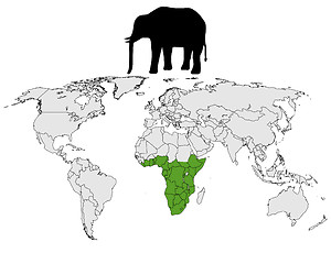 Image showing African elephant range