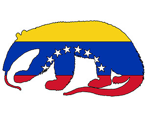 Image showing Anteater  Venezuela 