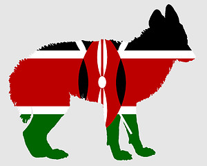 Image showing Jackal from Kenya