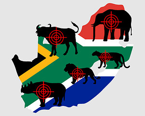 Image showing Big Five South Africa cross lines