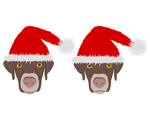 Image showing Two dog heads with red santa claus caps