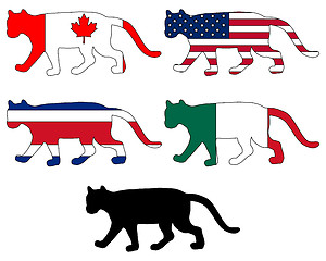 Image showing Cougar flags