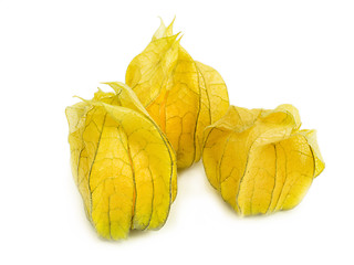 Image showing Physalis