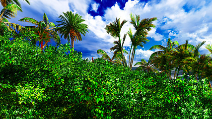 Image showing Paradise on Hawaii Island