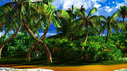 Image showing Paradise on Hawaii Island