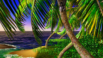 Image showing Paradise on Hawaii Island