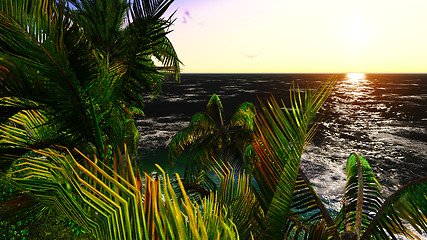 Image showing Paradise on Hawaii Island