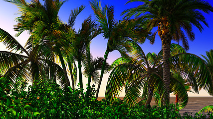 Image showing Paradise on Hawaii Island