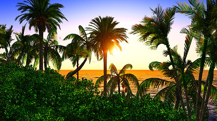 Image showing Paradise on Hawaii Island