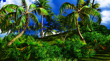 Image showing Paradise on Hawaii Island