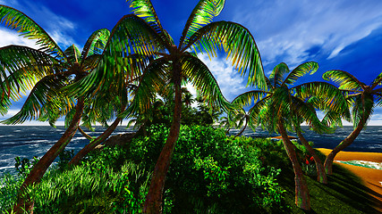 Image showing Paradise on Hawaii Island