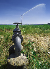 Image showing Agricultural irrigation systems