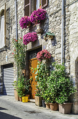 Image showing Italian typical houses