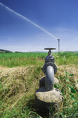 Image showing Agricultural irrigation systems