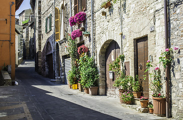 Image showing Italian typical houses