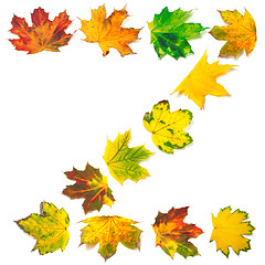 Image showing Letter Z composed of autumn maple leafs