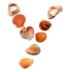 Image showing Letter Y composed of seashells