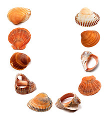 Image showing Letter U composed of seashells