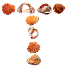 Image showing Letter T composed of seashells