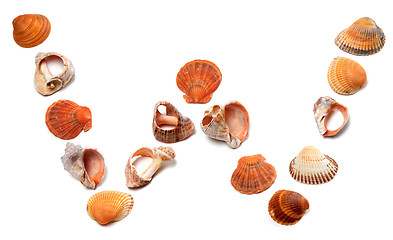 Image showing Letter W composed of seashells