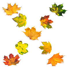 Image showing Letter X composed of autumn maple leafs