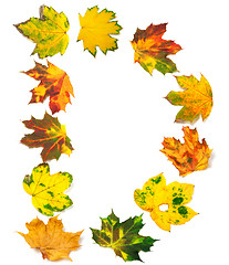 Image showing Letter D composed of autumn maple leafs