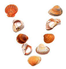 Image showing Letter V composed of seashells